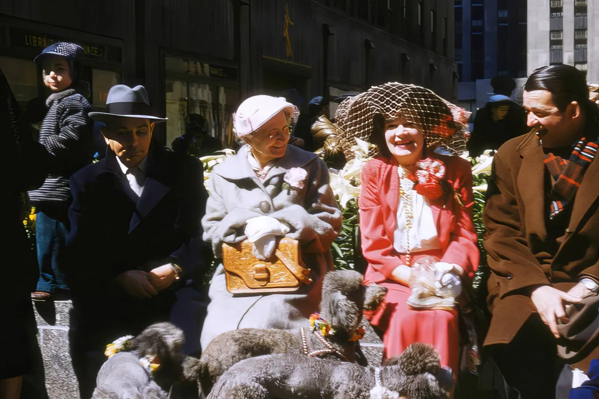 A group of people, including a woman in a red dress and hat, are gathered with several poodles, possibly at a public...
