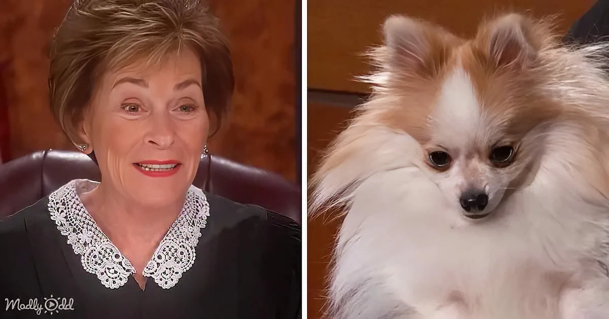 Judge Judy Tackles Puppy Mill Issue in Emotional Case