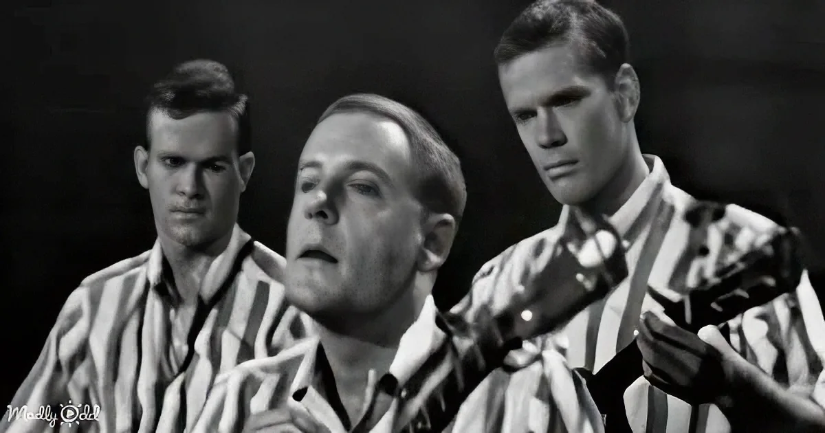 The Kingston Trio