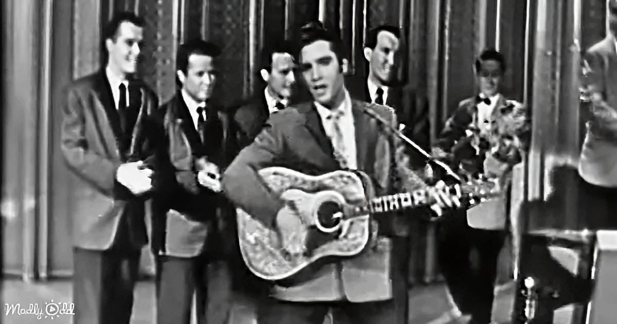 Elvis Presley plays guitar on stage with a band, wearing a suit, in a black-and-white image.