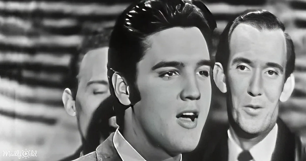 In 1956, Elvis Presley Serenades 'Love Me'