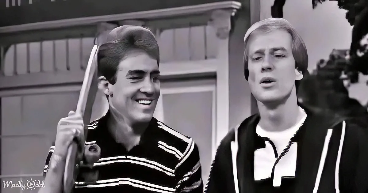Take a Trip Down Memory Lane With Jan and Dean's 'Surf City' (1963)
