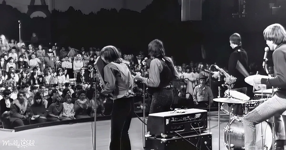 Musicians perform on stage with an audience in the background, creating a lively concert atmosphere.