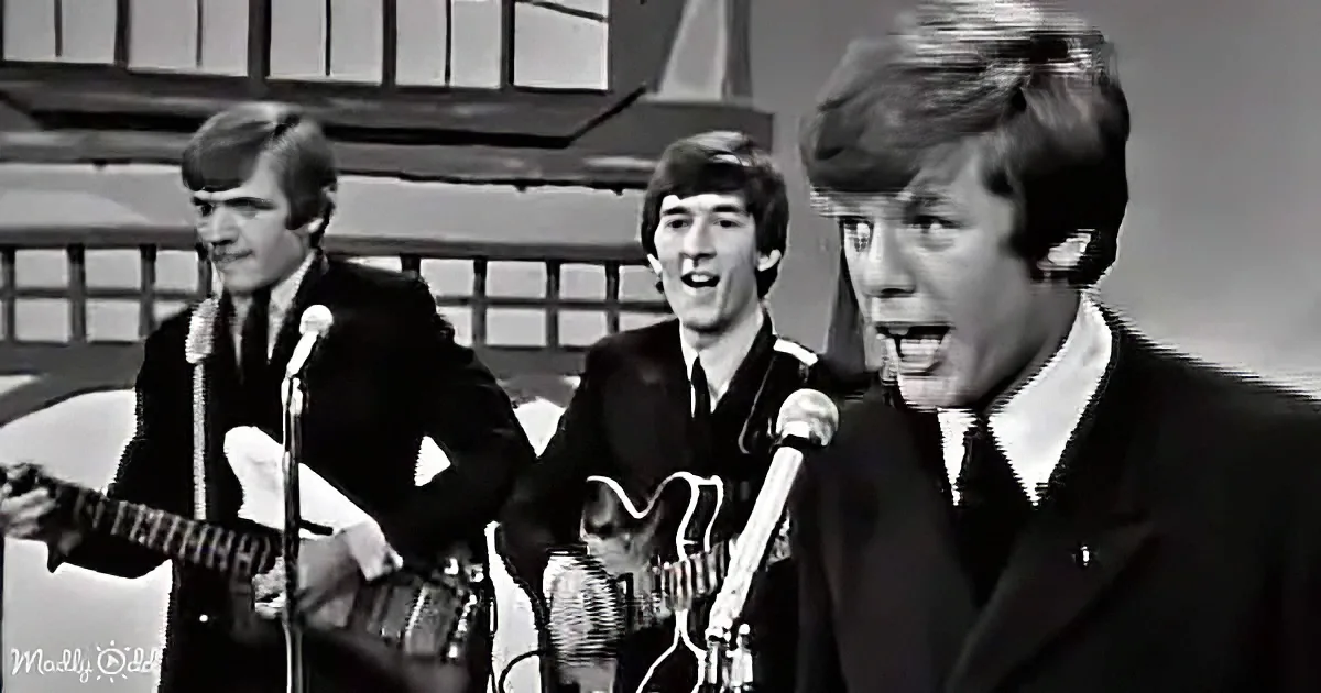 A man in a suit sings into a microphone, accompanied by two guitarists.