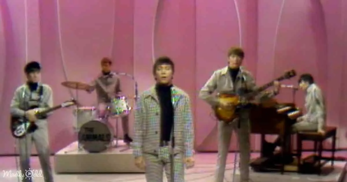 A man in a checkered suit sings on stage with a band, pink backdrop.