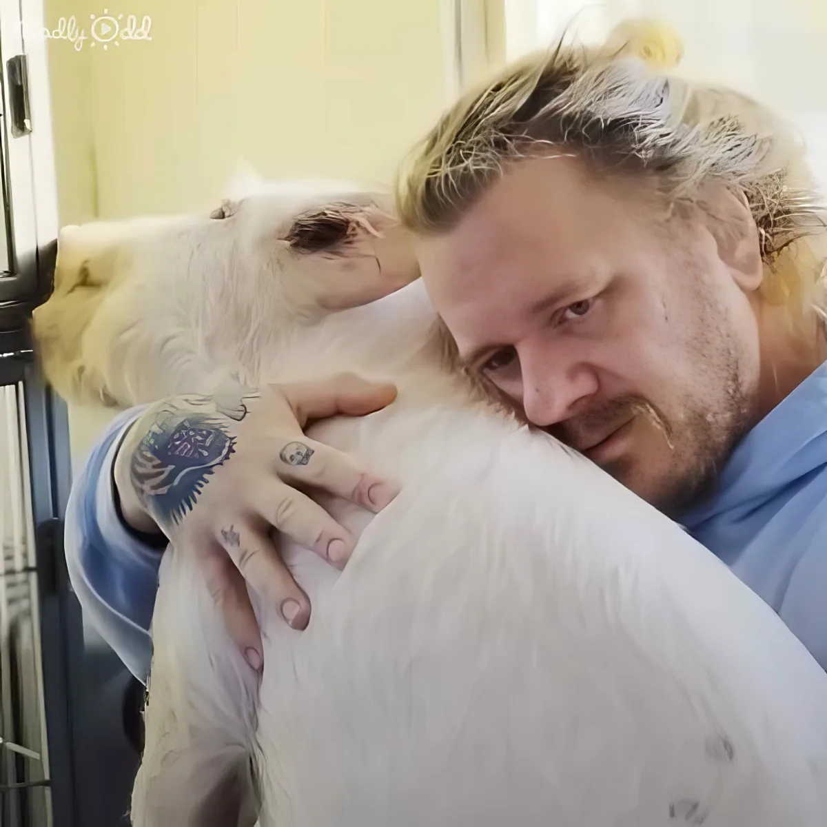A man with tattoos hugs a white dog, both appearing emotional in a room.