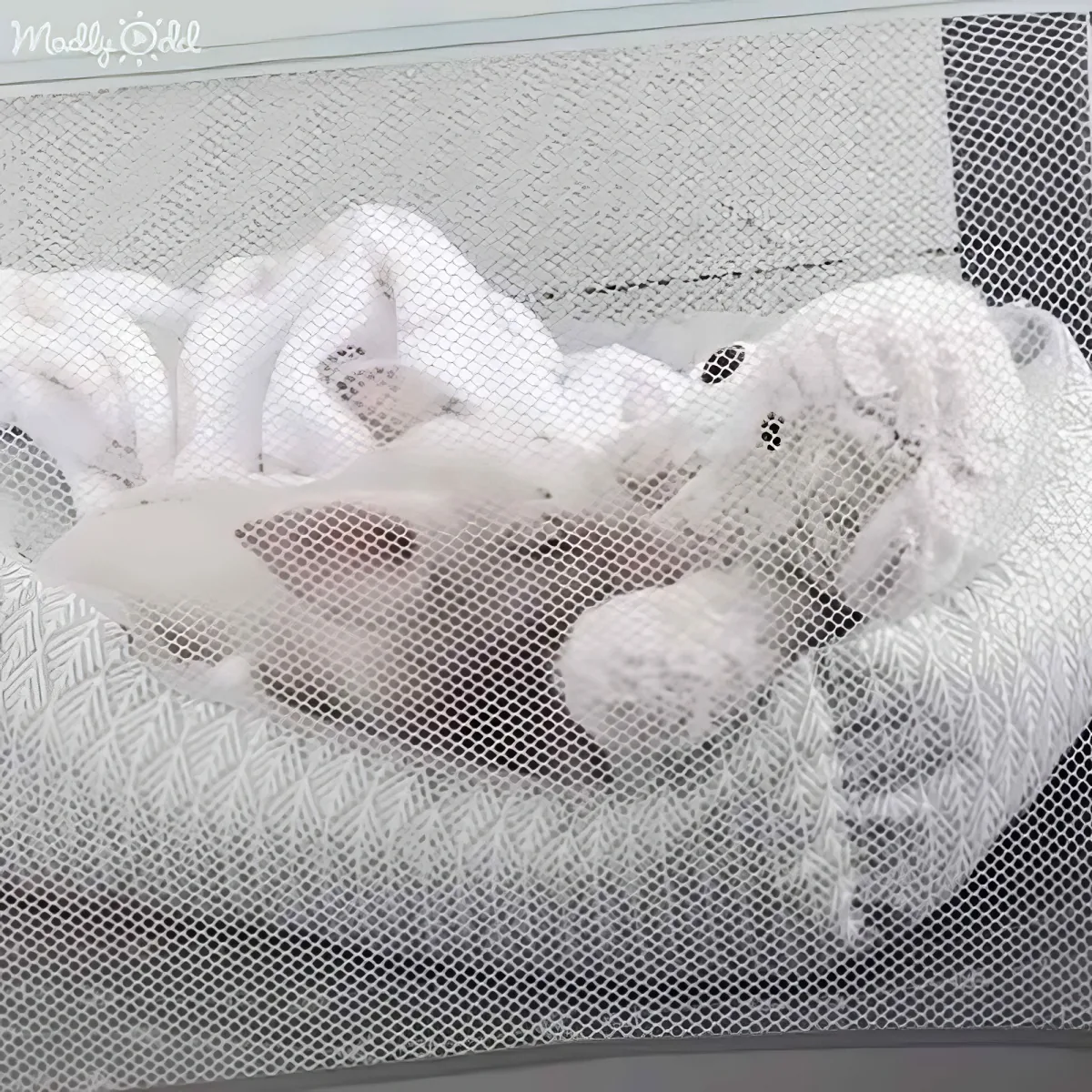 A white stuffed animal with black spots is nestled in a mesh laundry bag.