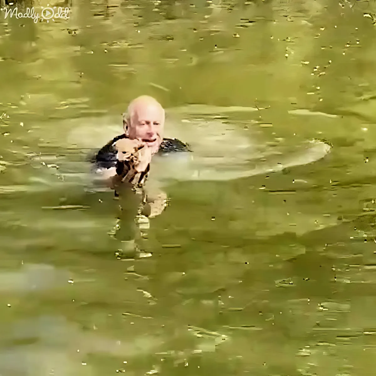 An elderly man is swimming in murky water, holding a small dog in his arms.