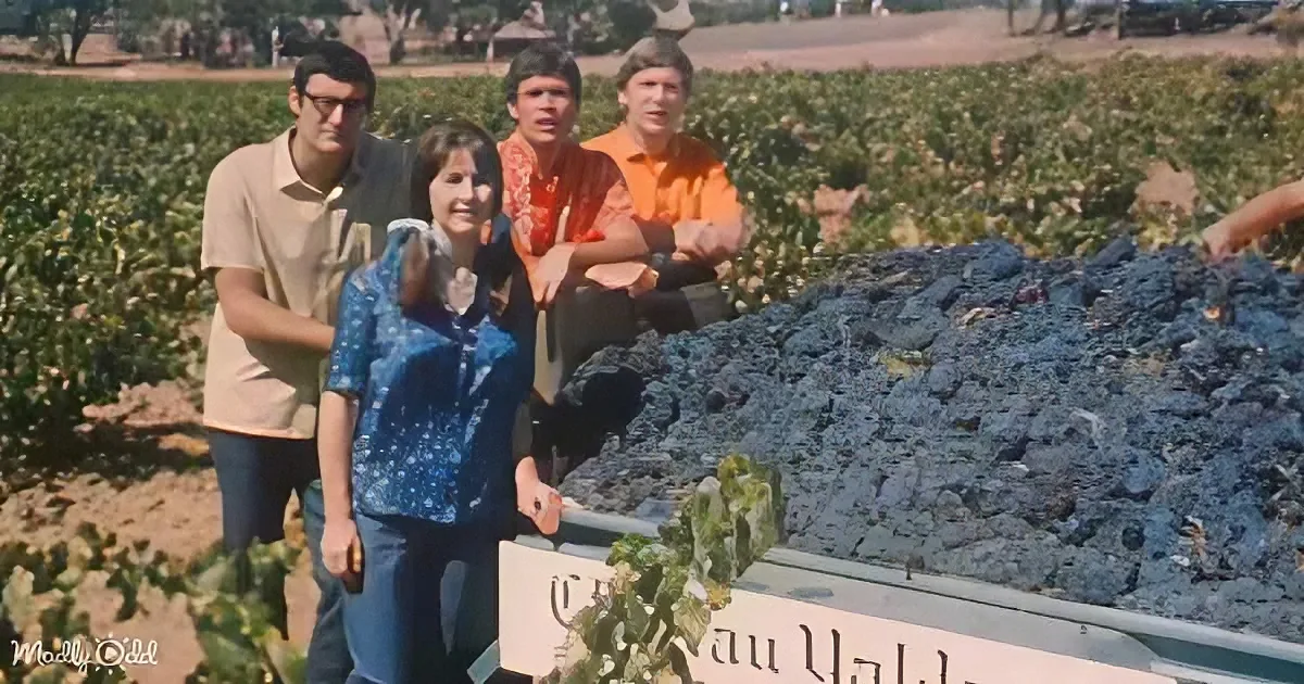 Four people pose by a rock in a vineyard, smiling and looking at the camera.