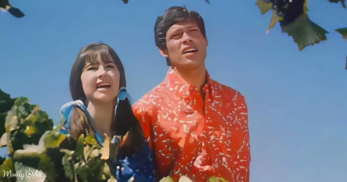The Seekers Will Take You Back to 1967 With 'Turn! Turn! Turn!'