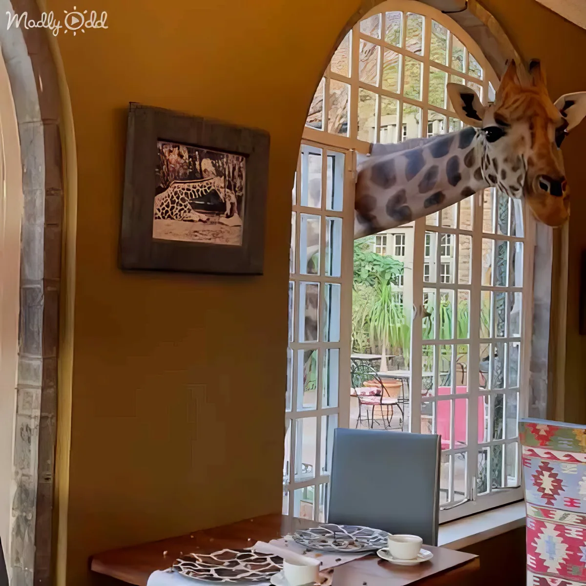 A giraffe peers through a window into a cozy dining room with a table and chairs.