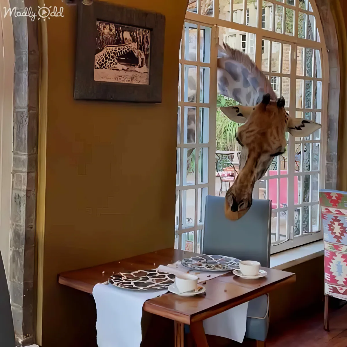 A giraffe's head is humorously placed inside a cafe window, seemingly reaching for a cup of coffee.
