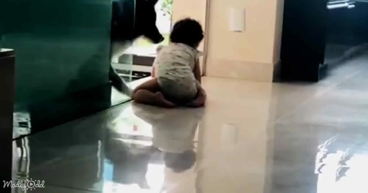 A child sits on a reflective floor, facing a glass door, with a shadowy figure behind them.