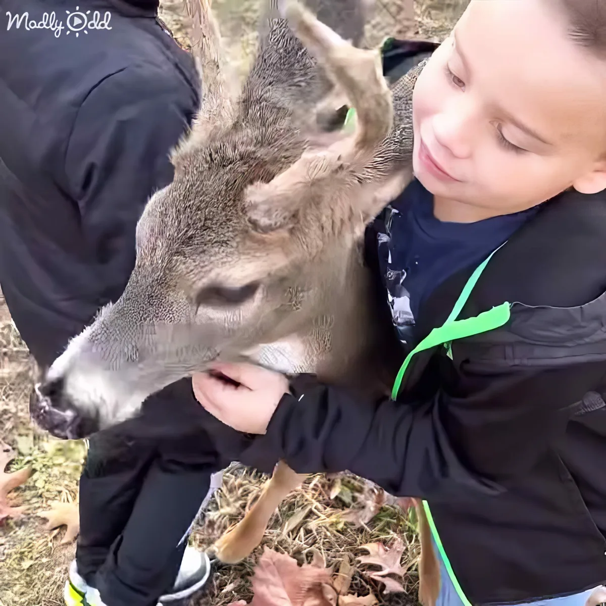 A boy in a black jacket holds a deer close, with the deer's antlers touching his face.