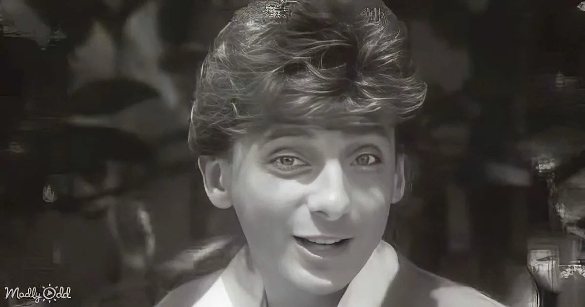 Flashback! 'Let's Hang on' Revives Manilow Memories