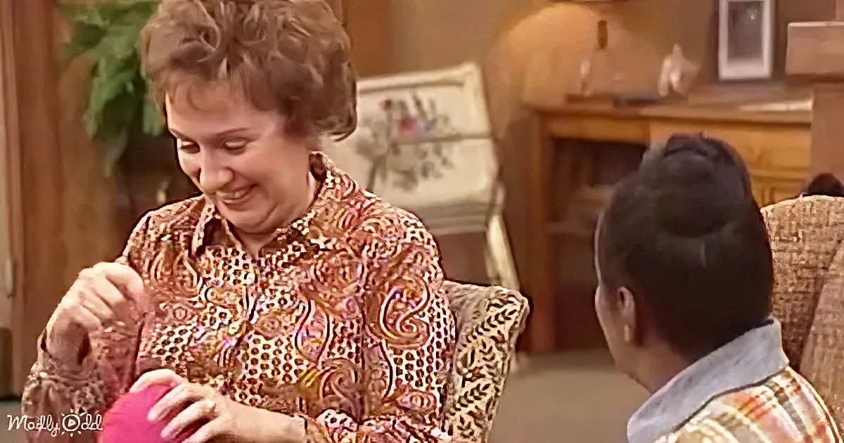 All In The Family