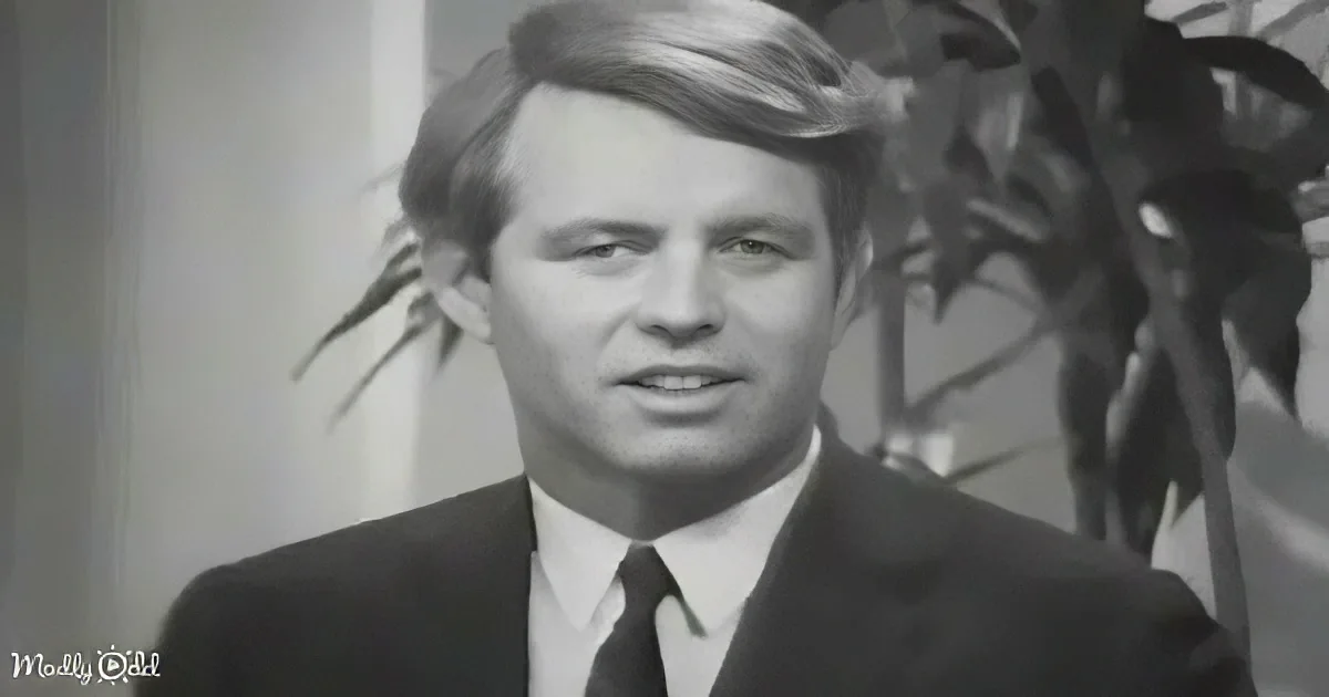 A man in a suit and tie, smiling, with a blurred background and a plant.