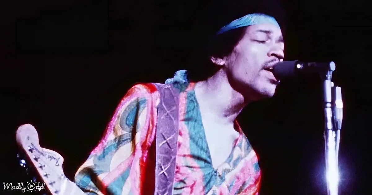 The Jimi Hendrix Experience