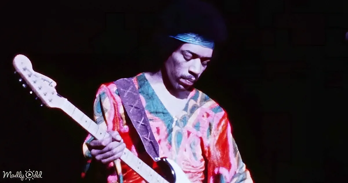 The Jimi Hendrix Experience
