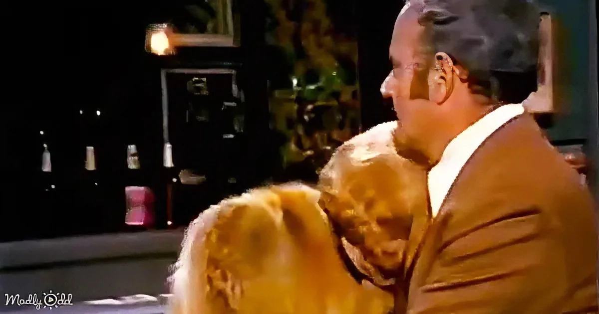A man in a suit embraces a golden retriever in a cozy indoor setting.