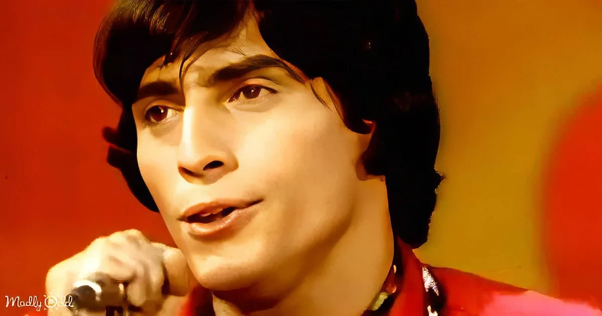 ''The Young Rascals'' Groovin'' 1967: a Timeless Trip Back in Time''