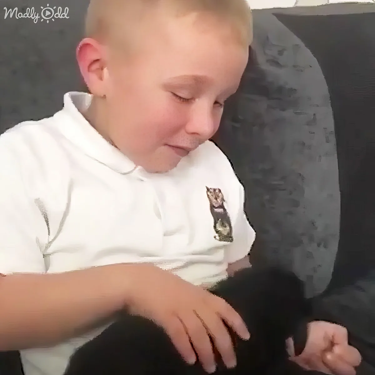 A young boy in a white polo shirt is gently petting a small black kitten.