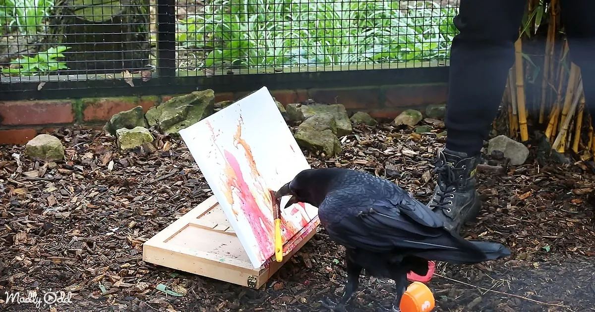 A crow pecks at a canvas on an easel, creating a colorful abstract painting.