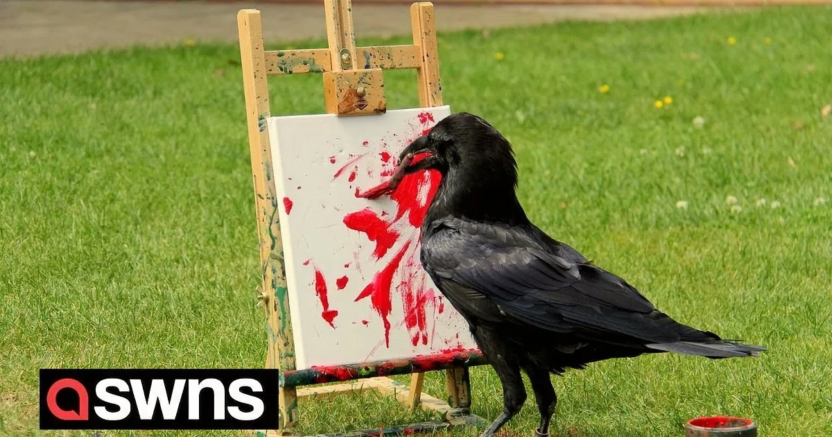 Appreciate the Artistry of a Raven Painting Masterpieces With Her Beak