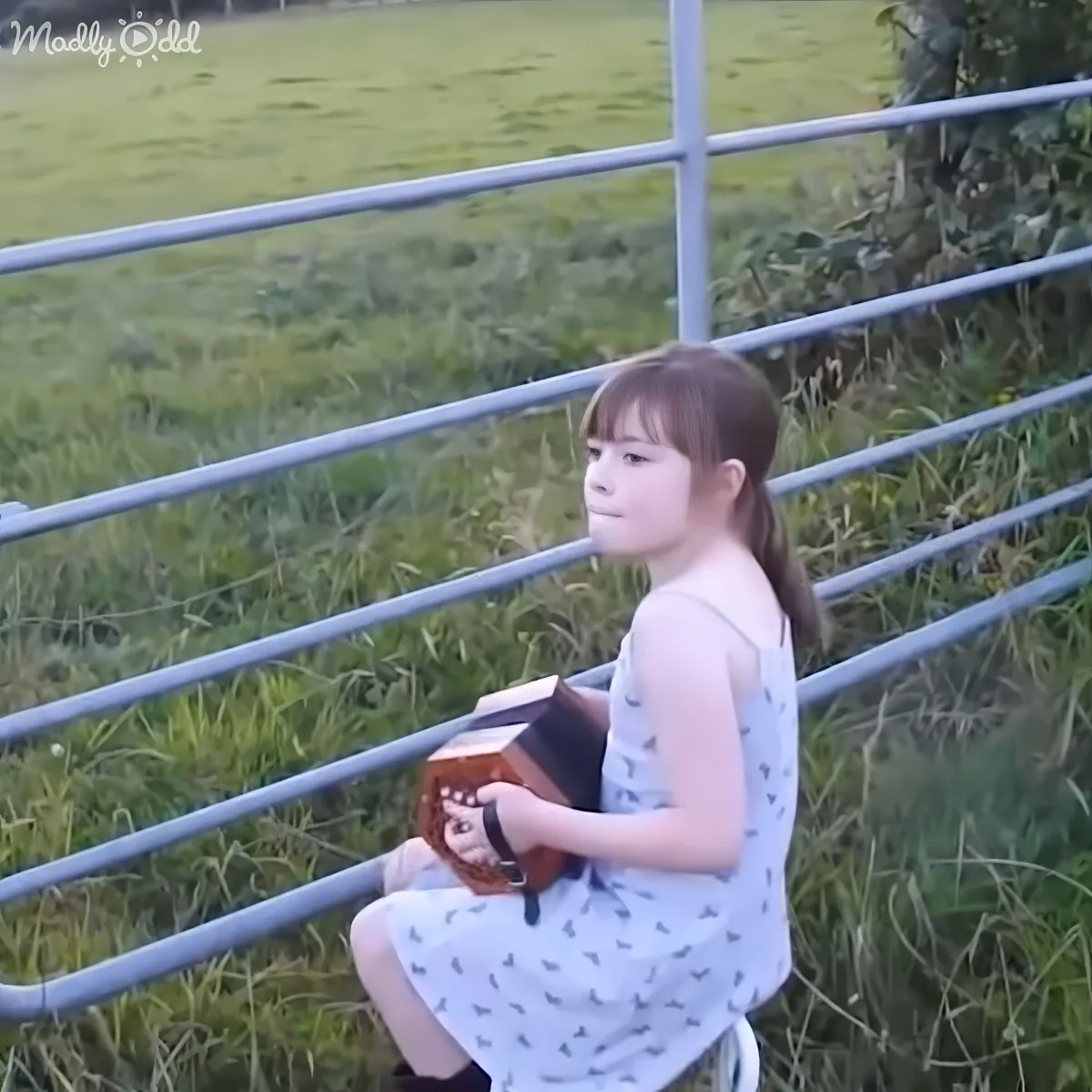 A young girl in a dress sits on a railing, holding a small guitar, with a grassy field behind her.