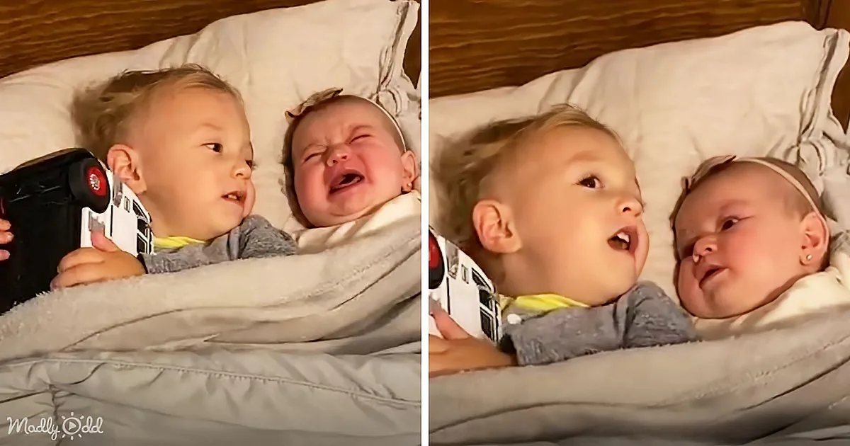 Tiny Whisperer's Touching Act of Love Calms Baby Sister
