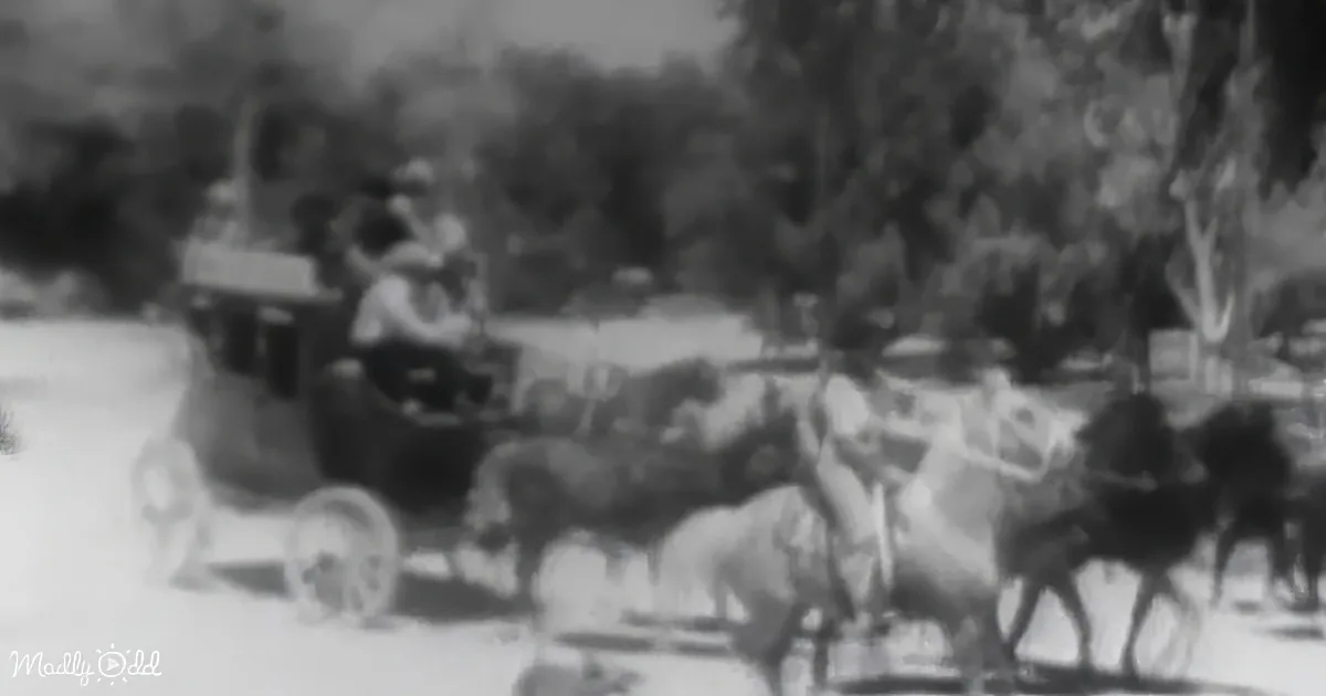 Horse-drawn carriage with people in a snowy, wooded area.