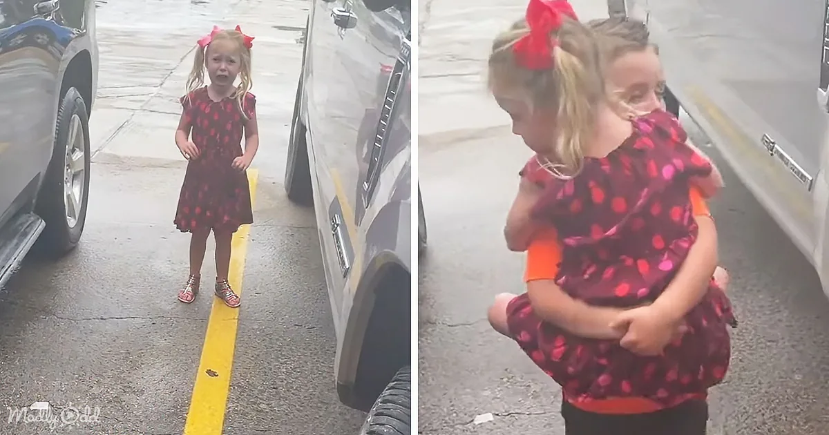 Brother's Heartwarming Rescue Mission Across a Muddy Puddle