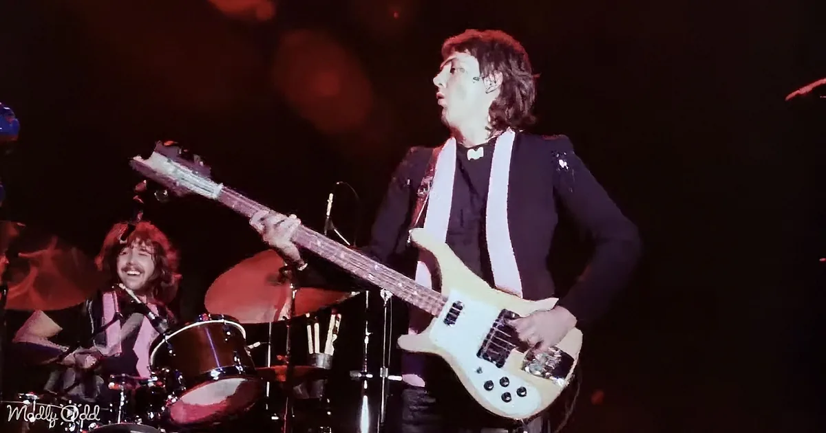 A guitarist in a black suit plays a white bass guitar on stage, with a drummer in the background.
