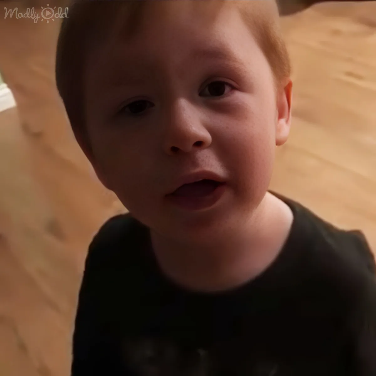 A young child with light hair and a black shirt is looking up, with a blurred background of a wooden floor and a window.