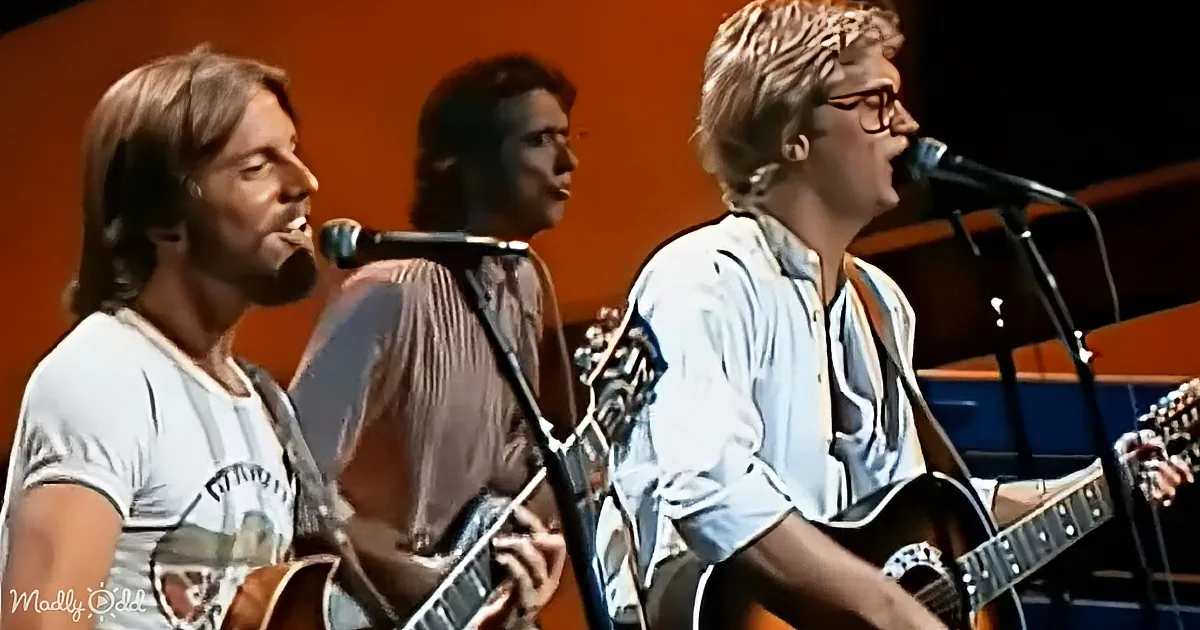 Three musicians sing and play guitars on stage, with microphones in front of them.