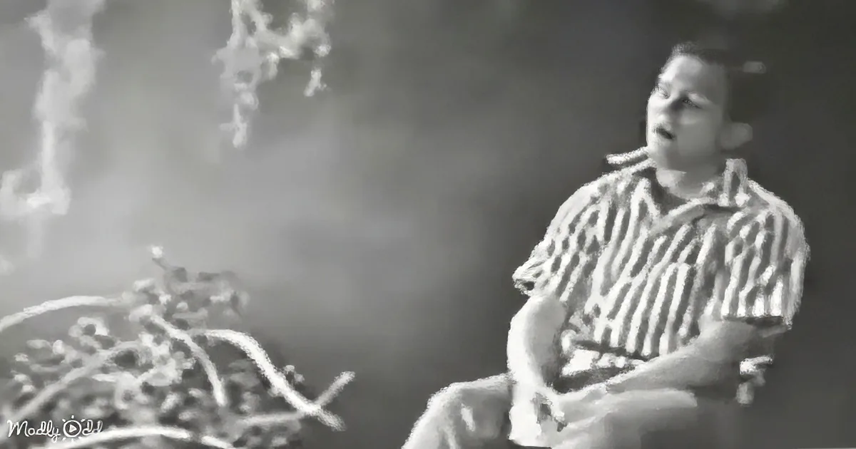 A man in a striped shirt sits in a chair, appearing to be in a dimly lit room with hanging plants.
