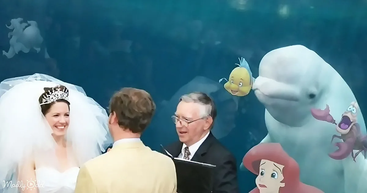 A bride and groom are exchanging vows at a wedding ceremony, with animated characters from "The Little Mermaid"...