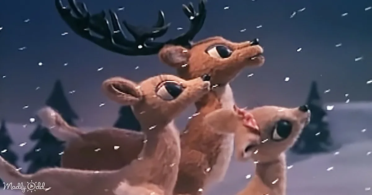 Three reindeer with antlers, snowflakes falling, night sky, trees in background.