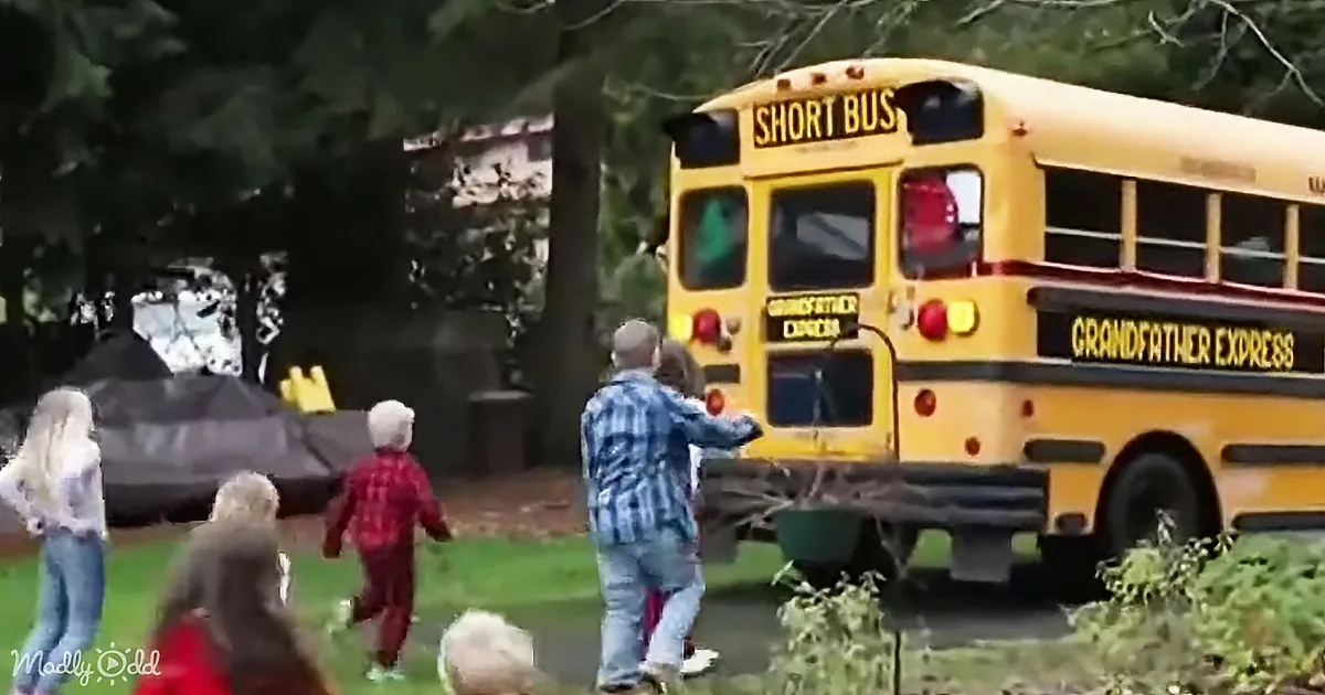 A yellow school bus labeled "Short Bus" and "Grandfather Express" is parked near a group of people in a grassy area.