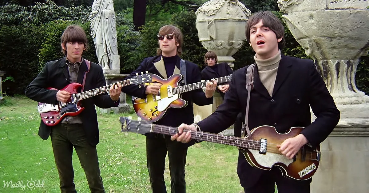 A man in a black suit plays a guitar, surrounded by other musicians in a garden setting.