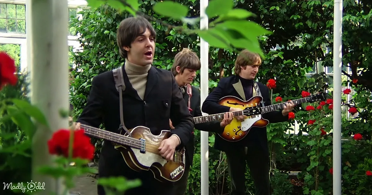 Three musicians play guitars in a lush garden setting with red roses and greenery.