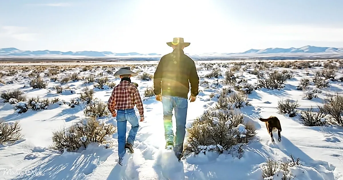 Two people in cowboy hats walk through snowy landscape with a dog, under bright sunlight.