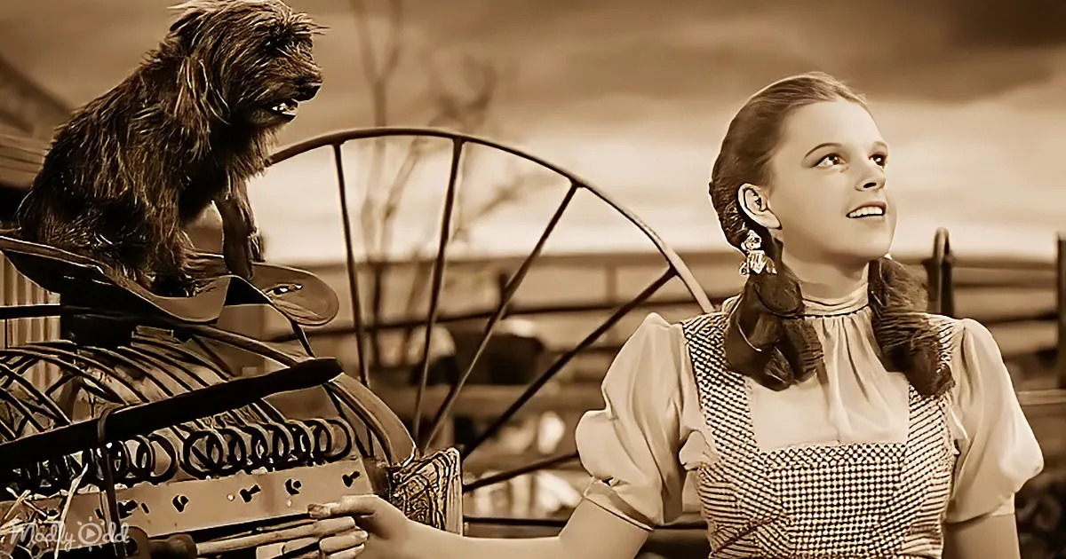 Timeless Video of Judy Garland's 'Somewhere Over the Rainbow'