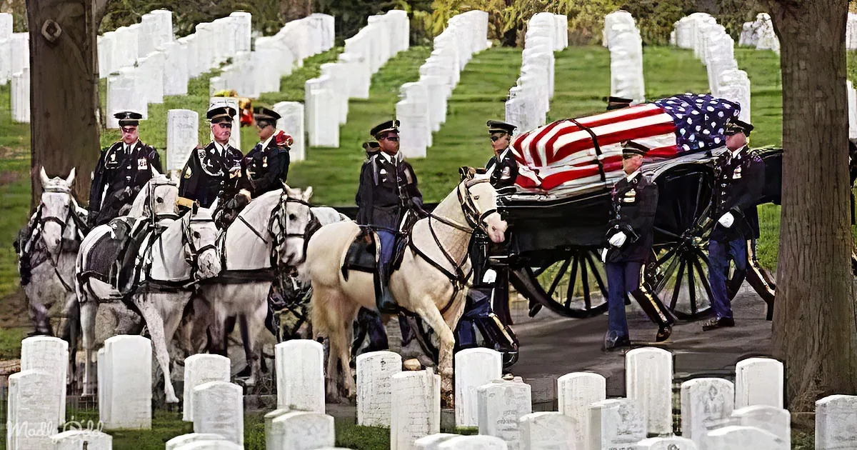 Emotive Tribute to Selfless Women Lost in the Line of Duty