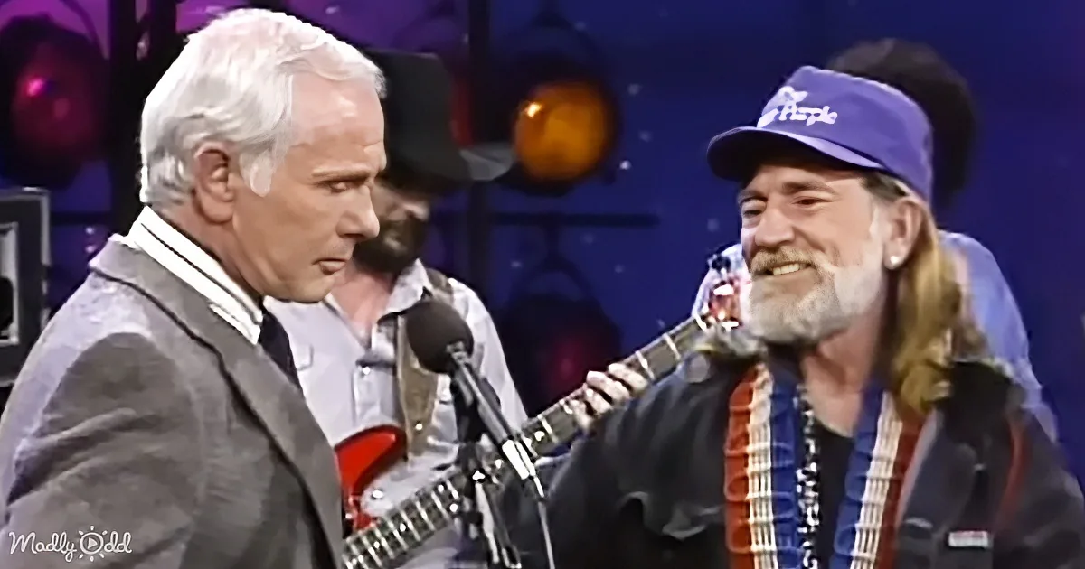 Two musicians, one in a suit and the other in a hat, are performing on stage with guitars.