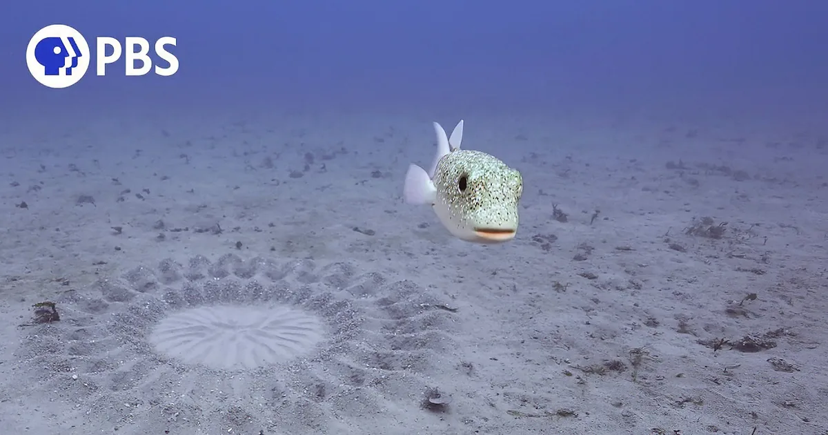 A small fish swims near a circular, textured object on a sandy ocean floor.