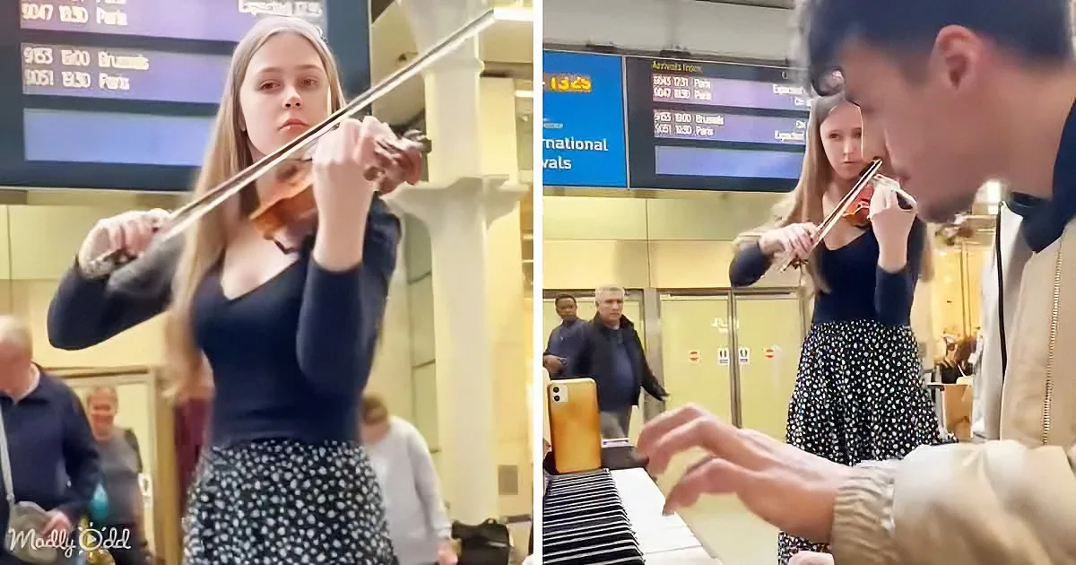 Mind-Blowing Impromptu Duet: Violinist and Pianist Break TikTok Records
