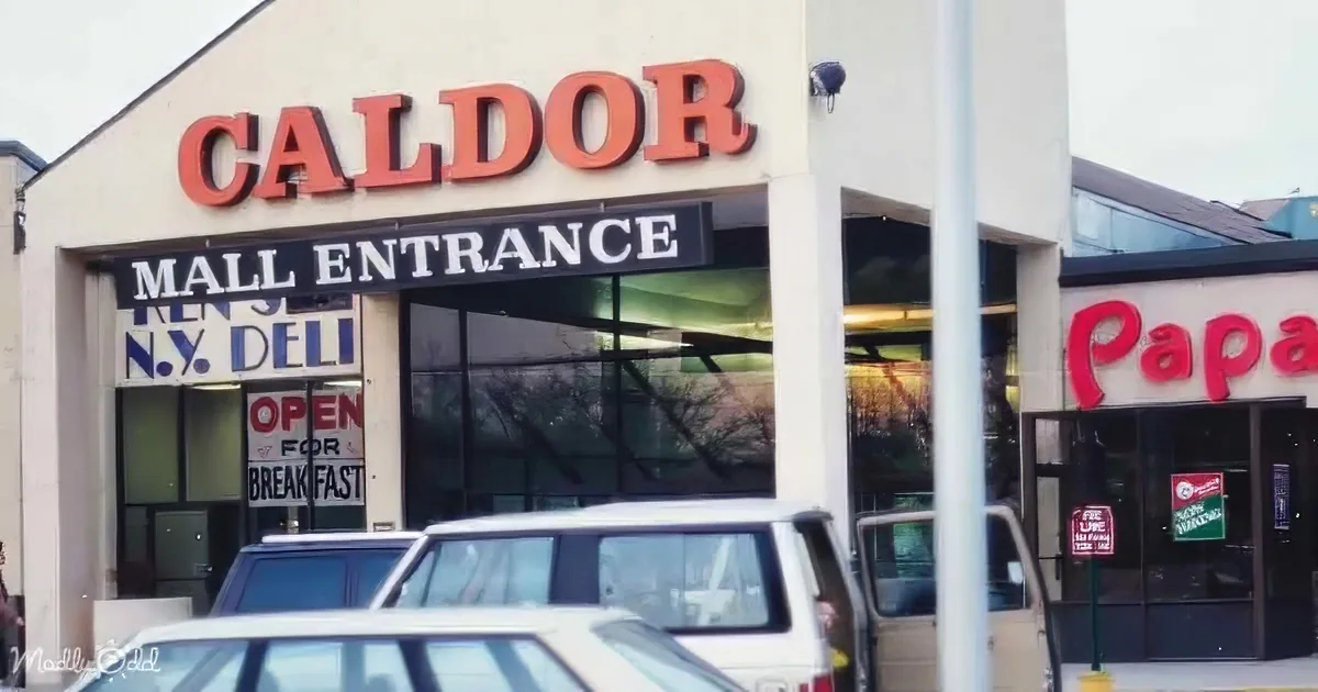 A Caldor store entrance with a sign indicating "Mall Entrance" and a visible "N.Y. Deli" sign inside.