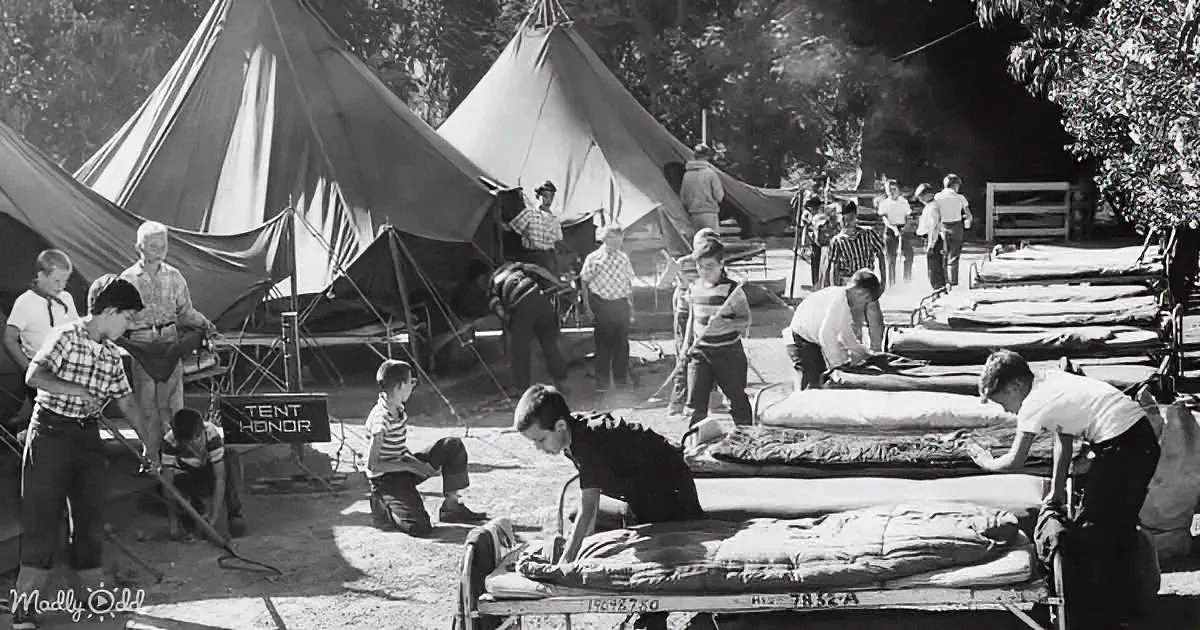 Children and adults set up tents and beds in a campsite under sunny skies.