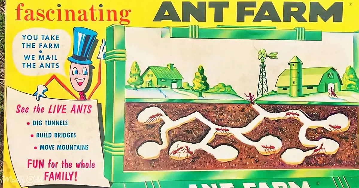A vintage ant farm box with a cartoon character, tunnels, and ants, promising live ant observation and family fun.